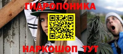 дживик Малгобек