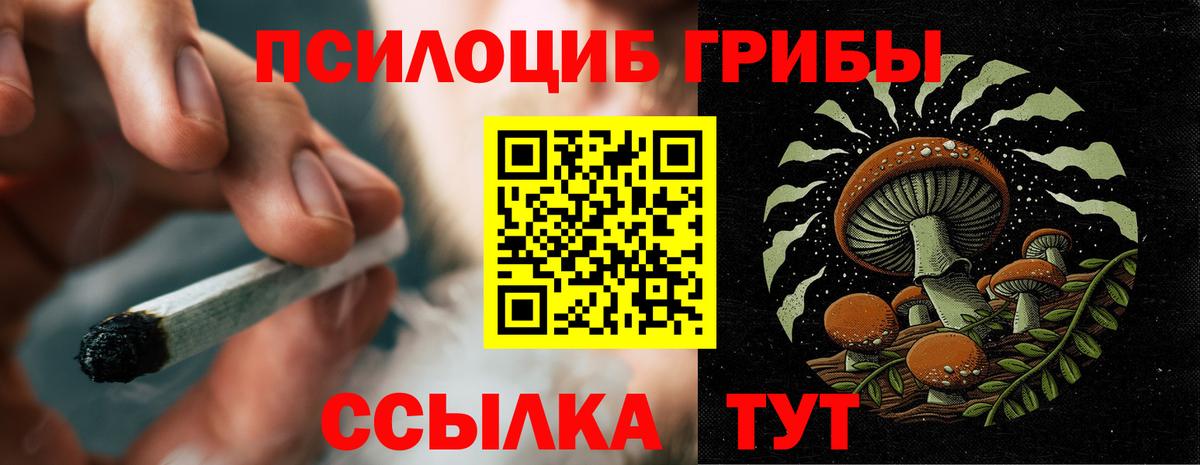 Галлюциногенные грибы мицелий Владивосток